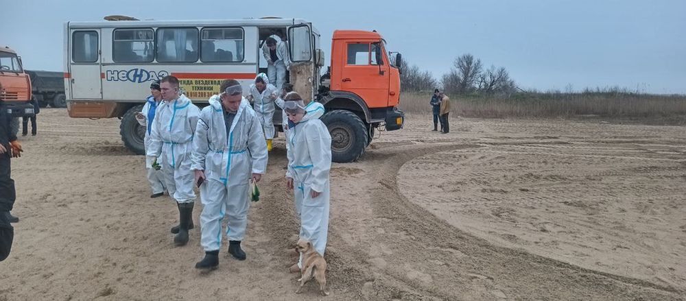Студенты АДИ ДонНТУ сделали свой вклад в восстановление экологии Студенты АДИ ДонНТУ сделали свой вклад в восстановление экологии