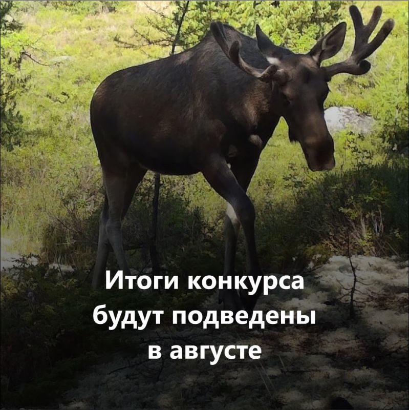 Владимир Ежиков: Президентский фонд природы объявил конкурс на предоставление грантов Президента Российской Федерации на реализацию экологических и природоохранных проектов в 2025 году Владимир Ежиков: Президентский фонд природы объявил конкурс на предоставление грантов Президента Российской Федерации на реализацию экологических и природоохранных проектов в 2025 году