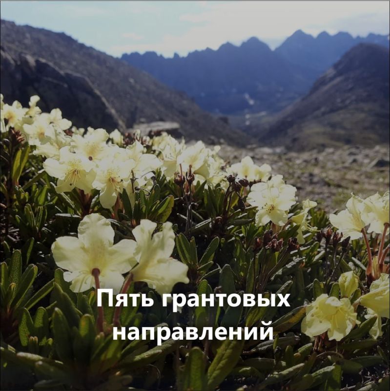 Владимир Ежиков: Президентский фонд природы объявил конкурс на предоставление грантов Президента Российской Федерации на реализацию экологических и природоохранных проектов в 2025 году Владимир Ежиков: Президентский фонд природы объявил конкурс на предоставление грантов Президента Российской Федерации на реализацию экологических и природоохранных проектов в 2025 году