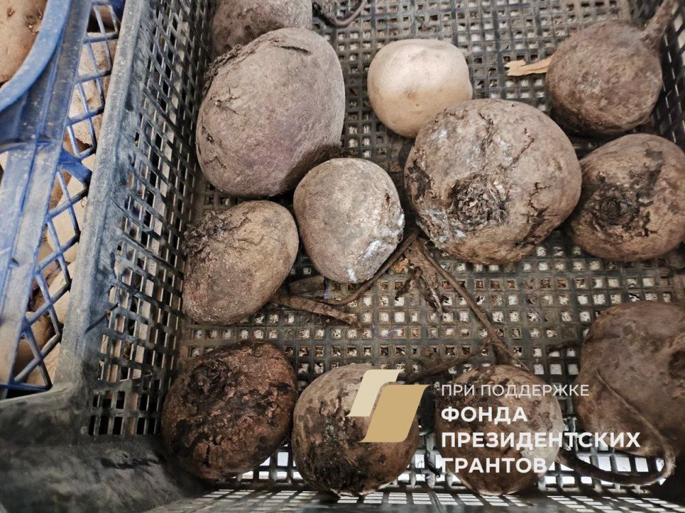 Народный контроль в действии! Народный контроль в действии!