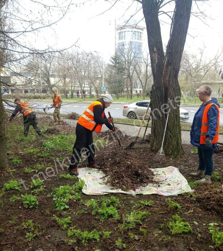Акция «Чистый четверг» во всех районах Донецка! Акция «Чистый четверг» во всех районах Донецка!