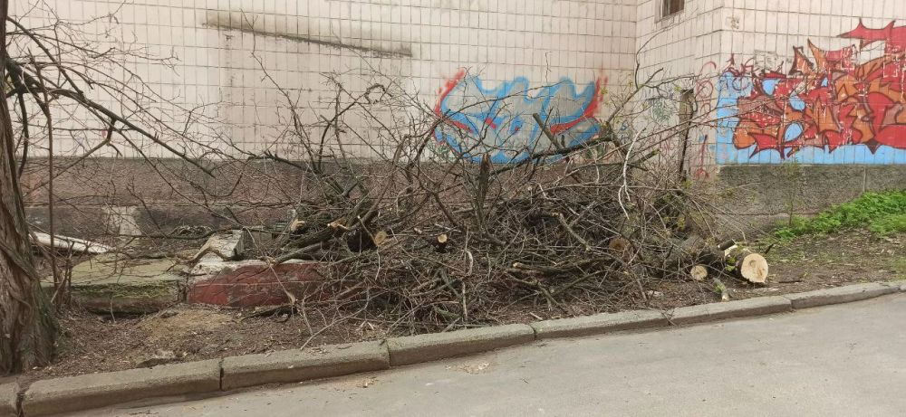 ПРОДОЛЖЕНИЕ СУББОТНИКА. Сегодня председатель Донецкого городского совета Юрий Атаманов организовал работы по коллективному обращению граждан в прилегающем квартале ПРОДОЛЖЕНИЕ СУББОТНИКА. Сегодня председатель Донецкого городского совета Юрий Атаманов организовал работы по коллективному обращению граждан в прилегающем квартале