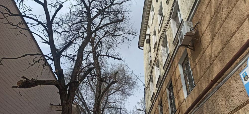 ПРОДОЛЖЕНИЕ СУББОТНИКА. Сегодня председатель Донецкого городского совета Юрий Атаманов организовал работы по коллективному обращению граждан в прилегающем квартале ПРОДОЛЖЕНИЕ СУББОТНИКА. Сегодня председатель Донецкого городского совета Юрий Атаманов организовал работы по коллективному обращению граждан в прилегающем квартале