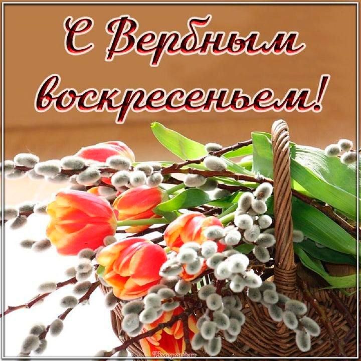 Борис Трима: Дорогие жители Мангушского округа! Борис Трима: Дорогие жители Мангушского округа!