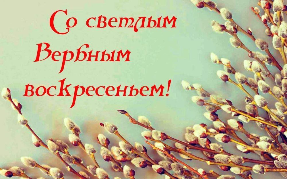 Наталья Бегуненко: Уважаемые жители посёлка Александровка Наталья Бегуненко: Уважаемые жители посёлка Александровка