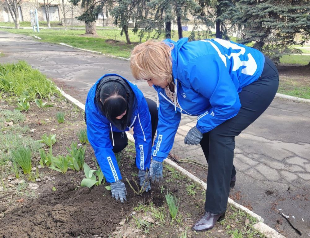 Депутаты «Единой России» украсили Торез розами в рамках проекта «Зеленая экономика» Депутаты «Единой России» украсили Торез розами в рамках проекта «Зеленая экономика»