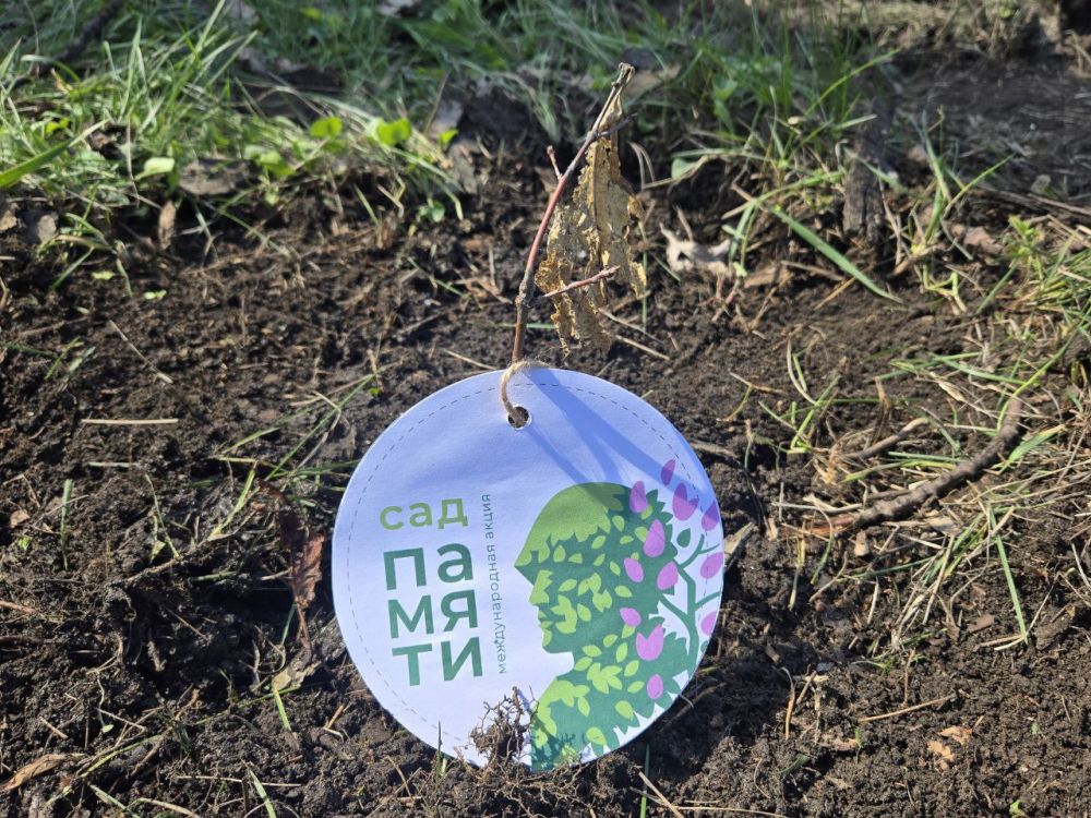 Сергей Желновач: В Дебальцево к 80-летию Великой Победы в рамках акции «Сад памяти» высадили дубы Сергей Желновач: В Дебальцево к 80-летию Великой Победы в рамках акции «Сад памяти» высадили дубы