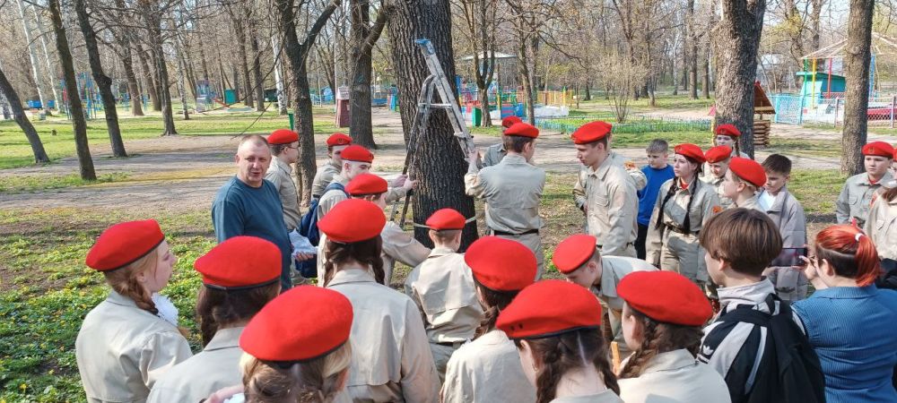 В Харцызском городском округе прошла акция «Сад памяти» В Харцызском городском округе прошла акция «Сад памяти»
