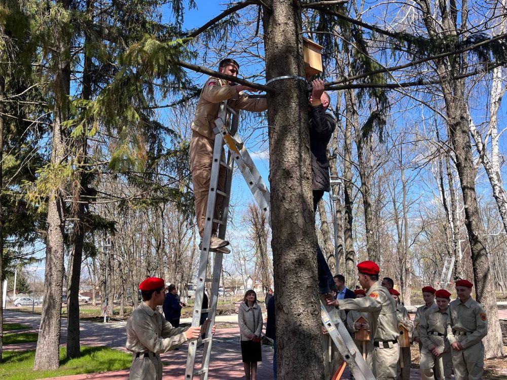 В Волновахском муниципальном округе прошла акция «Сад памяти» В Волновахском муниципальном округе прошла акция «Сад памяти»