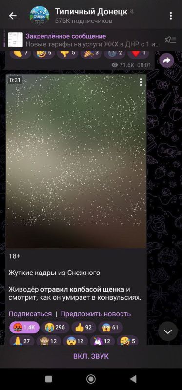 Майя Пирогова: Господа из "Робин Гуда" и Типичного Донецка попали впросак Майя Пирогова: Господа из "Робин Гуда" и Типичного Донецка попали впросак