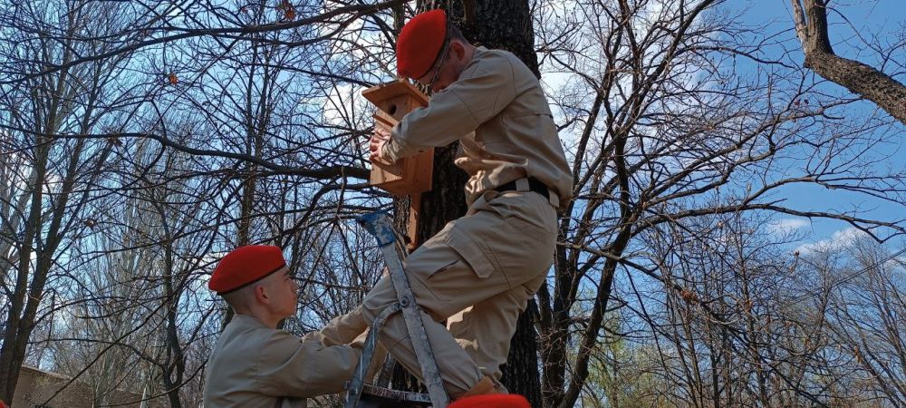 В Харцызском городском округе прошла акция «Сад памяти» В Харцызском городском округе прошла акция «Сад памяти»