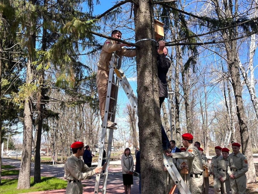 В Волновахе ДНР прошла акция «Сад памяти» В Волновахе ДНР прошла акция «Сад памяти»