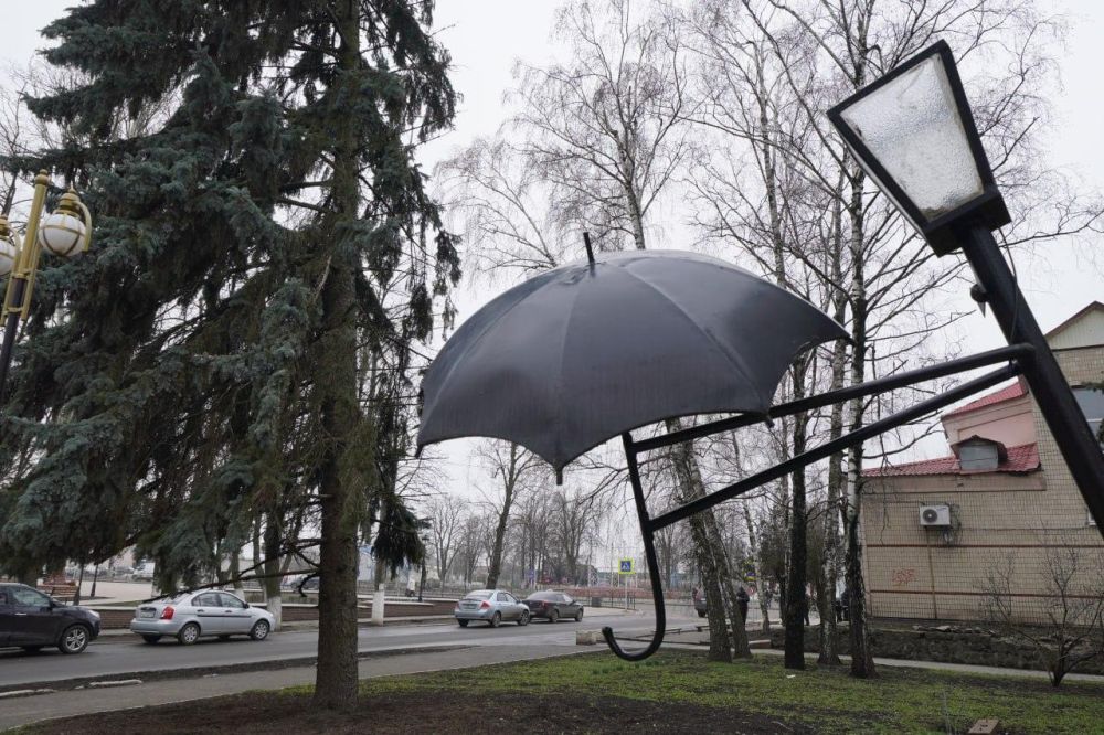 Архивисты Ямала помогают коллегам из Волновахи в восстановлении архивного дела Архивисты Ямала помогают коллегам из Волновахи в восстановлении архивного дела