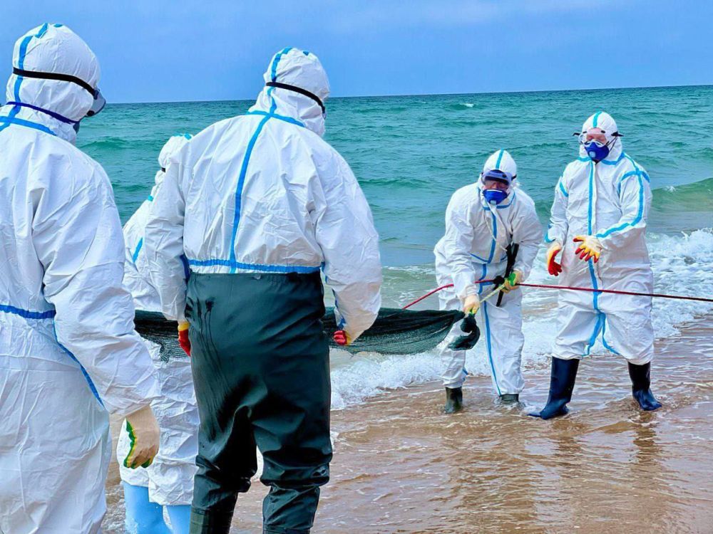 Команда из. Донецкой Народной Республики - самая «внушительная» Команда из. Донецкой Народной Республики - самая «внушительная»