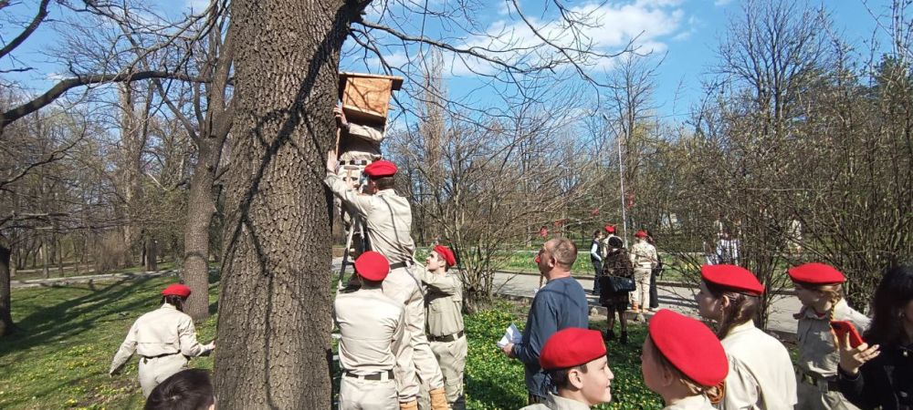 В Харцызском городском округе прошла акция «Сад памяти» В Харцызском городском округе прошла акция «Сад памяти»