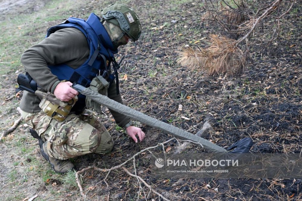 22 года на очистку земли: как киевский режим превратил Донбасс в минное поле 22 года на очистку земли: как киевский режим превратил Донбасс в минное поле