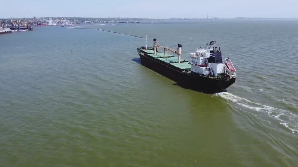 Экспорт зерна из ДНР через порт Мариуполя вырос почти на 80% за год