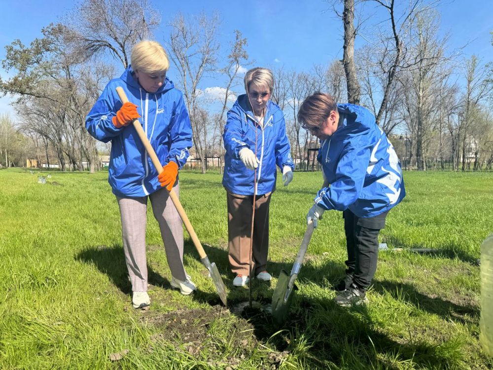 Сегодня в парке Горького состоялась международная акция «Сад памяти», в ходе которой были высажены липы Сегодня в парке Горького состоялась международная акция «Сад памяти», в ходе которой были высажены липы