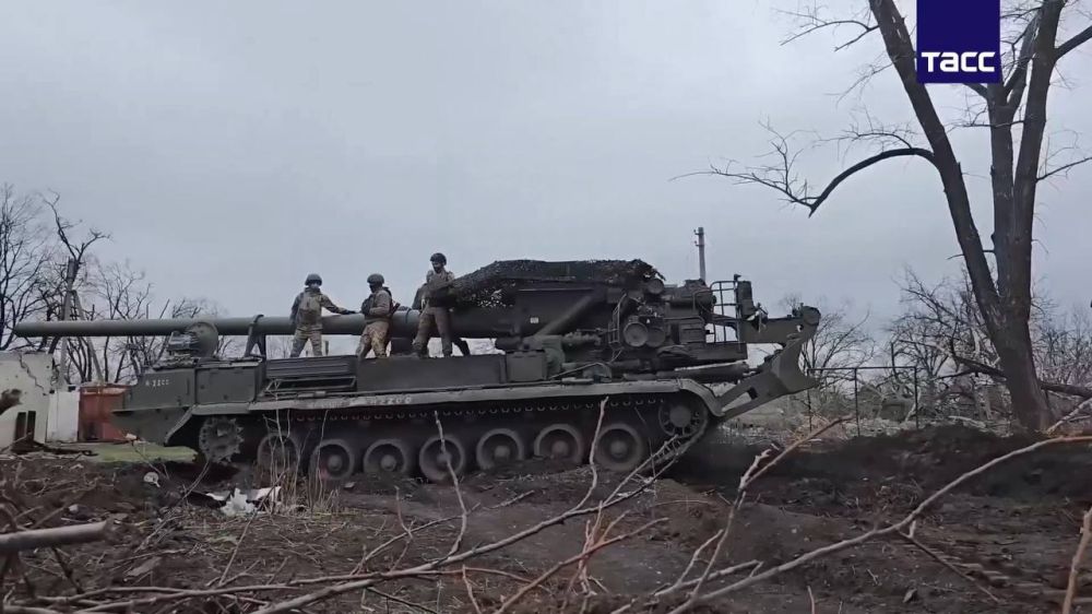 Боевая работа расчёта 203-мм самоходной пушки 2С7М «Малка» группировки войск «Центр» на Покровском (Красноармейском) направлении Боевая работа расчёта 203-мм самоходной пушки 2С7М «Малка» группировки войск «Центр» на Покровском (Красноармейском) направлении