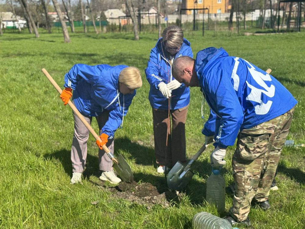 Сегодня в парке Горького состоялась международная акция «Сад памяти», в ходе которой были высажены липы Сегодня в парке Горького состоялась международная акция «Сад памяти», в ходе которой были высажены липы