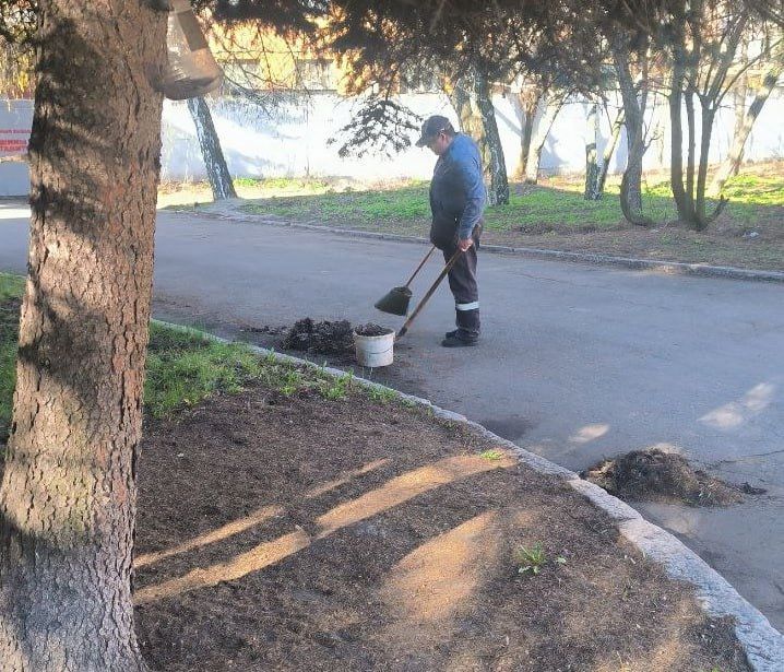 В Кировском внутригородском районе продолжаются работы в рамках двухмесячника по благоустройству В Кировском внутригородском районе продолжаются работы в рамках двухмесячника по благоустройству