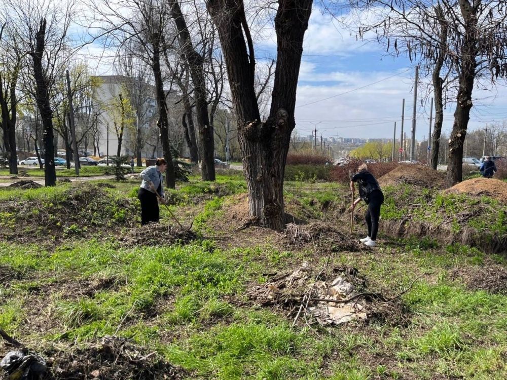 Хвою и березы из Чувашской Республики высадили в Екатерининском саду Мариуполя Хвою и березы из Чувашской Республики высадили в Екатерининском саду Мариуполя