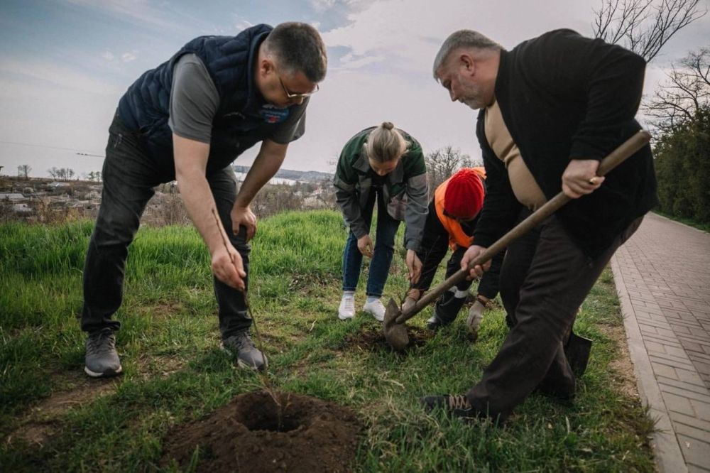 Хвою и березы из Чувашской Республики высадили в Екатерининском саду Мариуполя Хвою и березы из Чувашской Республики высадили в Екатерининском саду Мариуполя