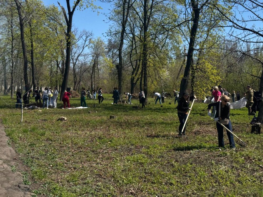 Александр Шатов: В Шахтерском округе продолжаются мероприятия по благоустройству Александр Шатов: В Шахтерском округе продолжаются мероприятия по благоустройству