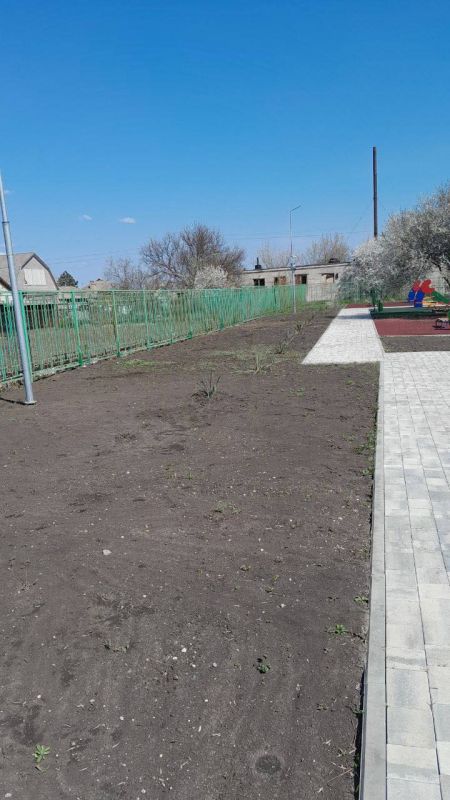 Память в корнях: дошкольники Мариуполя посадили деревья в честь Героев Память в корнях: дошкольники Мариуполя посадили деревья в честь Героев