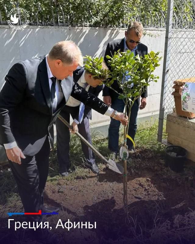 Александр Петрикин: Акция «Сад памяти» продолжается за рубежом при поддержке Русских домов Александр Петрикин: Акция «Сад памяти» продолжается за рубежом при поддержке Русских домов