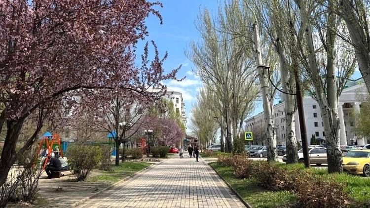 Цветет магнолия, распускаются тюльпаны, трудится десант коммунальщиков: бульвар Пушкина в Донецке готовится к прогулочному сезону Цветет магнолия, распускаются тюльпаны, трудится десант коммунальщиков: бульвар Пушкина в Донецке готовится к прогулочному сезону