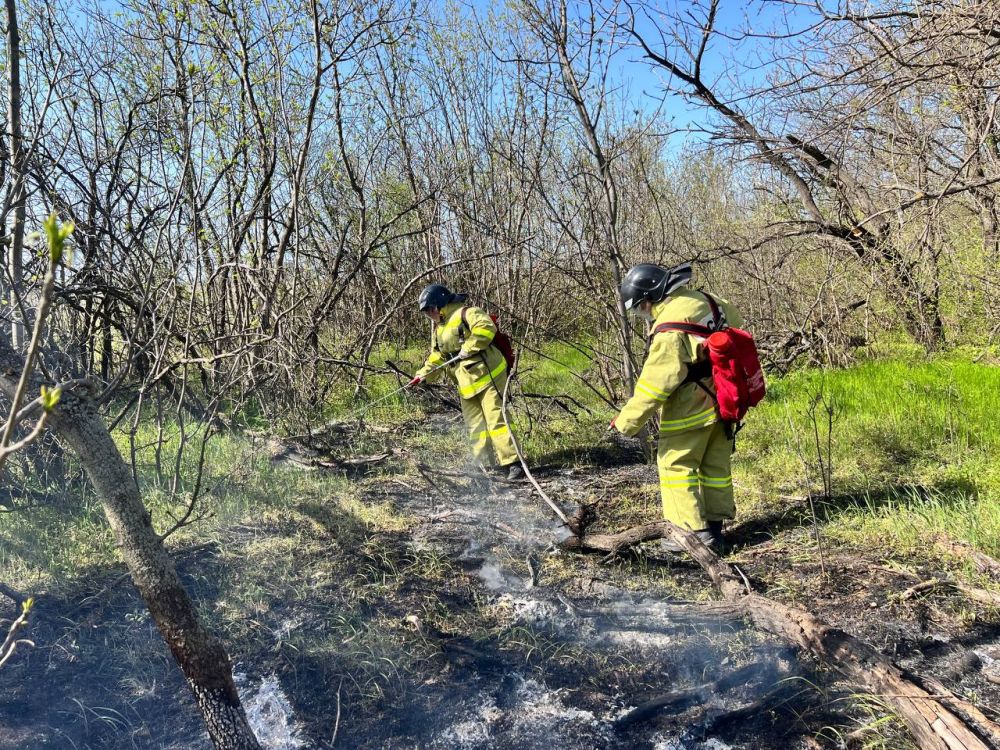 Добровольцы Донецкого РО ВСКС оперативно ликвидировали возгорание в пгт Зуевка Добровольцы Донецкого РО ВСКС оперативно ликвидировали возгорание в пгт Зуевка