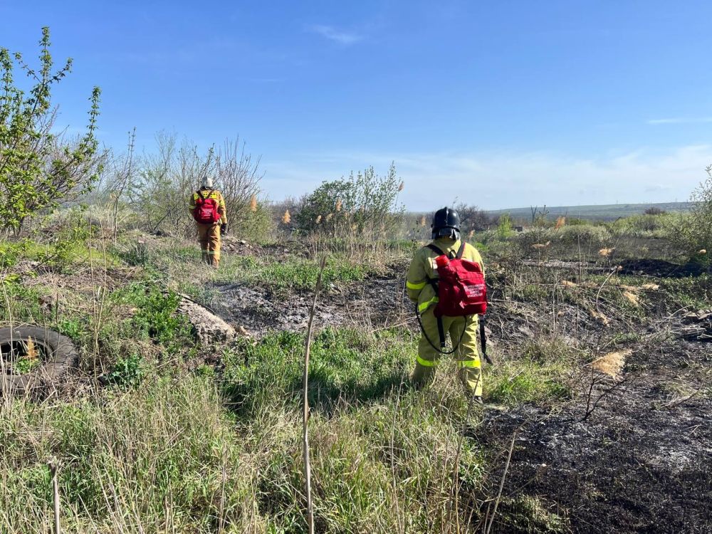 Добровольцы Донецкого РО ВСКС оперативно ликвидировали возгорание в пгт Зуевка Добровольцы Донецкого РО ВСКС оперативно ликвидировали возгорание в пгт Зуевка