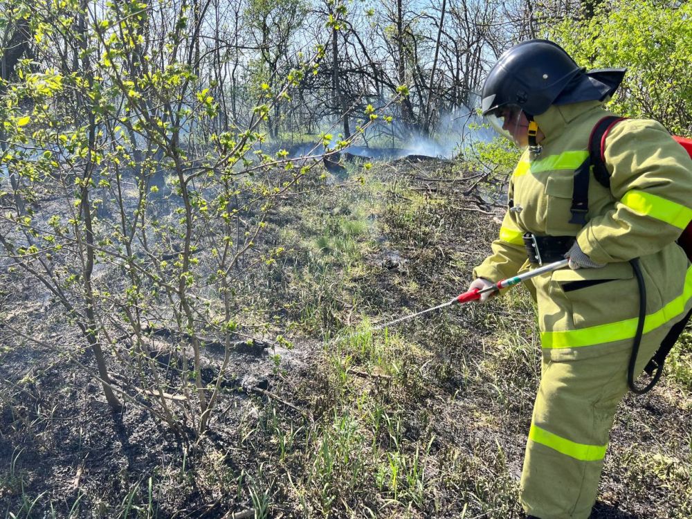 Добровольцы Донецкого РО ВСКС оперативно ликвидировали возгорание в пгт Зуевка Добровольцы Донецкого РО ВСКС оперативно ликвидировали возгорание в пгт Зуевка