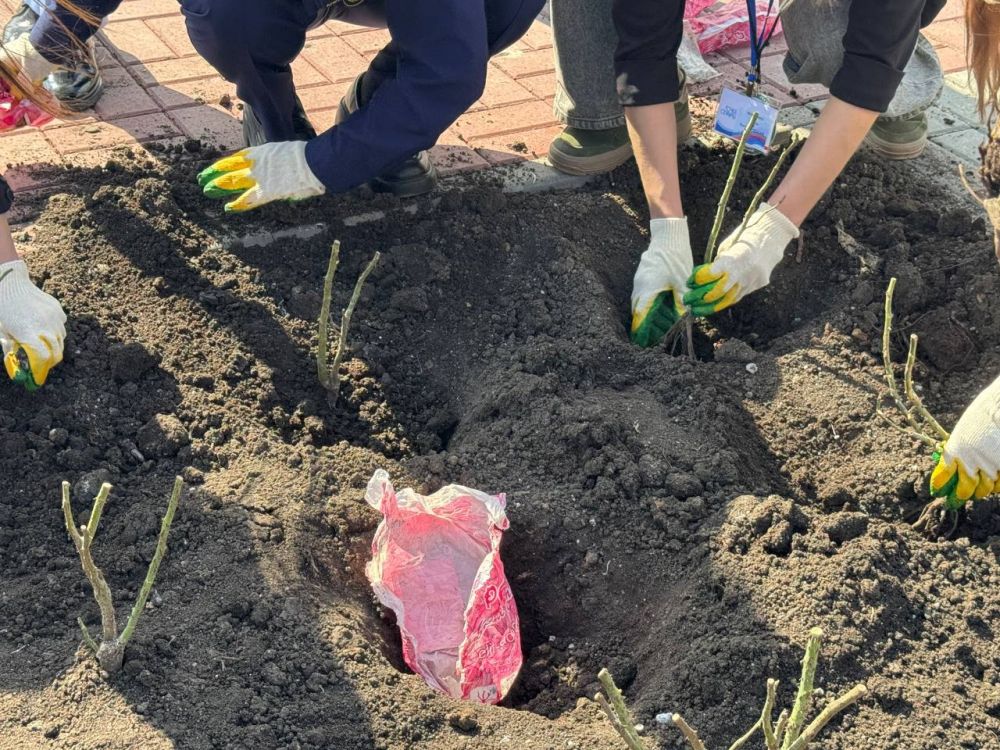 Поддержка женщин и детей в условиях современных вызовов Поддержка женщин и детей в условиях современных вызовов
