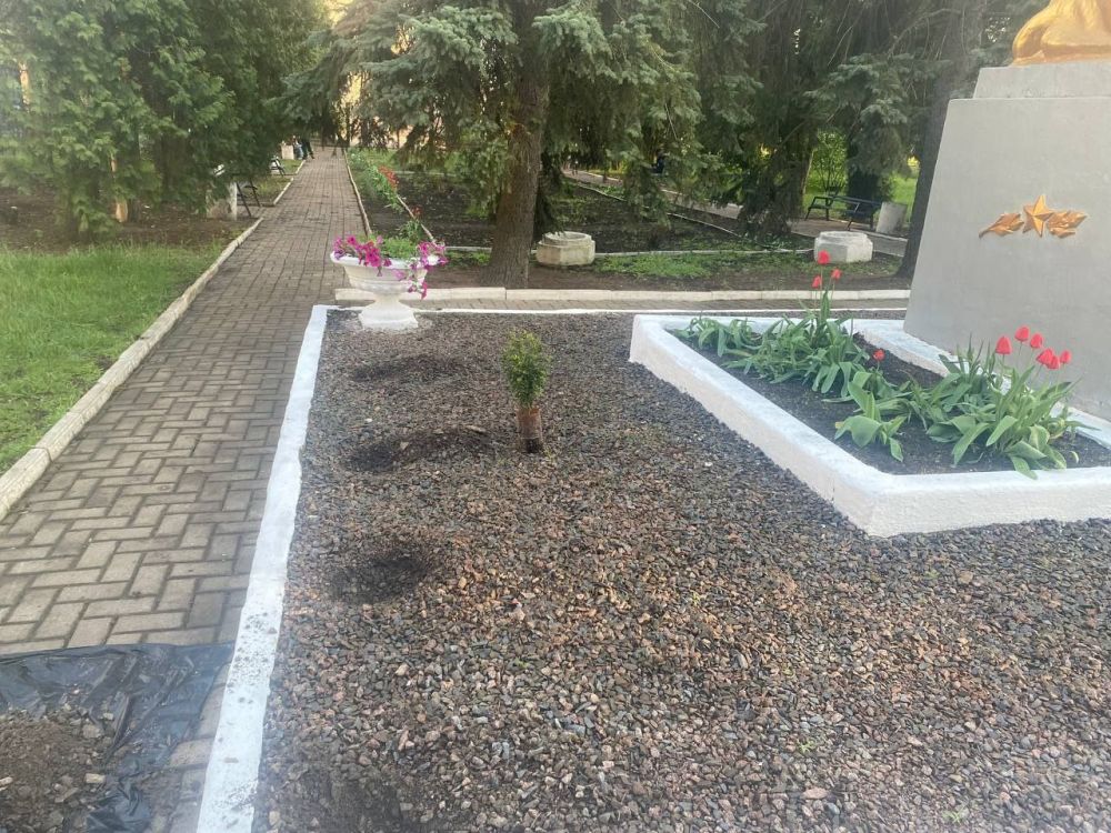 В Ждановке высадили цветы в честь 80-й годовщины Победы в Великой Отечественной войны В Ждановке высадили цветы в честь 80-й годовщины Победы в Великой Отечественной войны