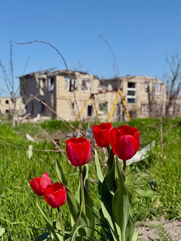 Марьяна Наумова: Я побывала в Марьинке спустя месяц после ее освобождения, тогда линия фронта ушла на несколько километров вперед, но передвигаться по поселку было всё ещё опасно, работали вражеские дроны и каждый метр земли... Марьяна Наумова: Я побывала в Марьинке спустя месяц после ее освобождения, тогда линия фронта ушла на несколько километров вперед, но передвигаться по поселку было всё ещё опасно, работали вражеские дроны и каждый метр земли...