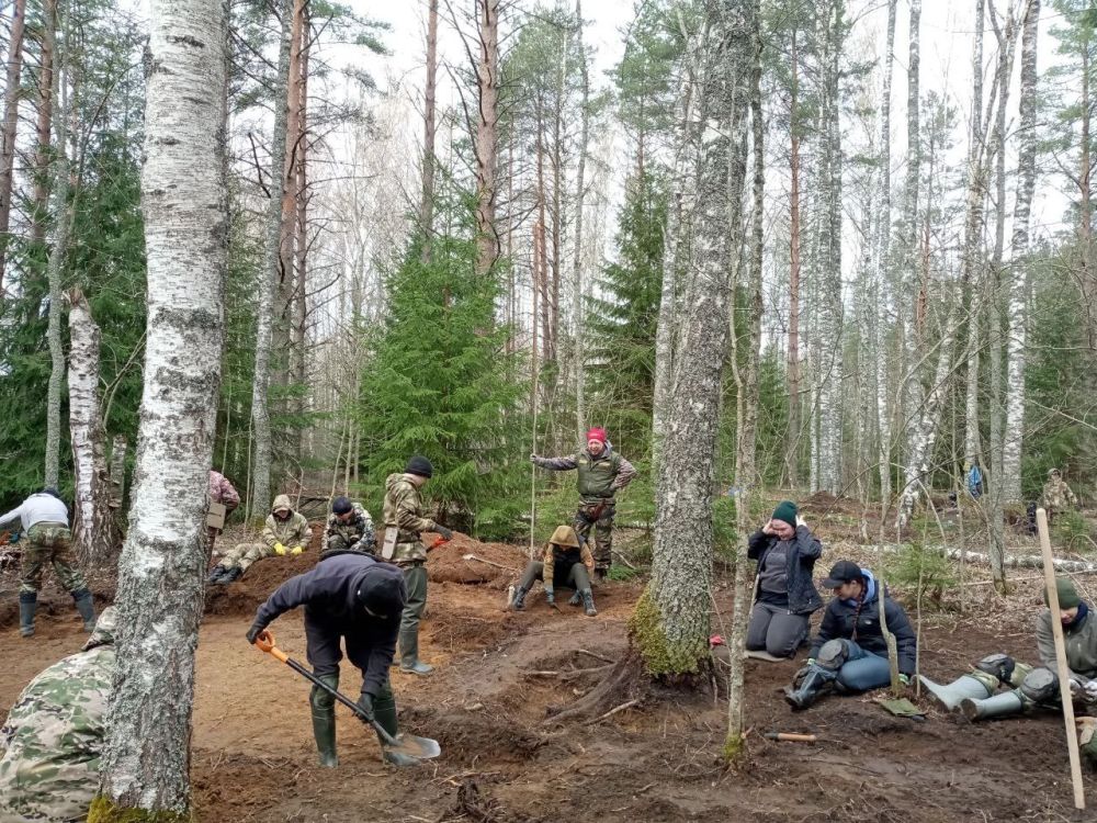 Сегодня, на третий день экспедиции #ВОРОНОВО2025, стартовали полноценные поисковые работы в нескольких локациях сразу Сегодня, на третий день экспедиции #ВОРОНОВО2025, стартовали полноценные поисковые работы в нескольких локациях сразу