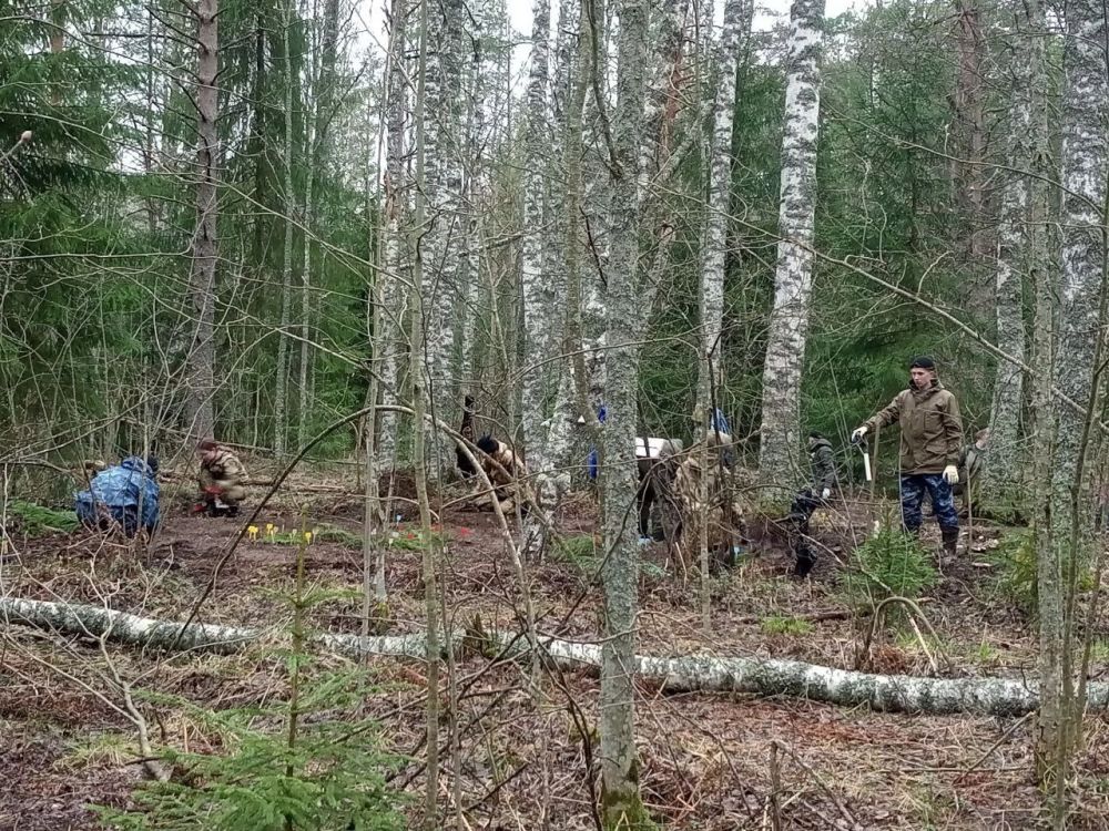 Сегодня, на третий день экспедиции #ВОРОНОВО2025, стартовали полноценные поисковые работы в нескольких локациях сразу Сегодня, на третий день экспедиции #ВОРОНОВО2025, стартовали полноценные поисковые работы в нескольких локациях сразу