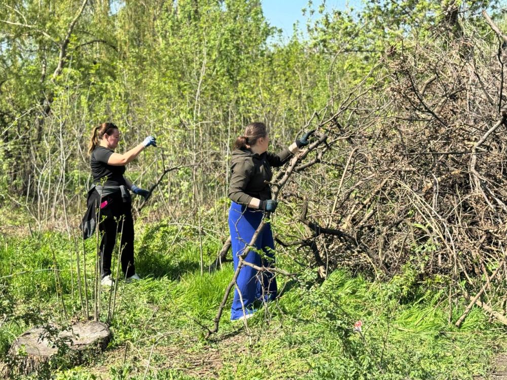 Чистота - лучшая красота, залог здоровья и достойного существования человека Чистота - лучшая красота, залог здоровья и достойного существования человека
