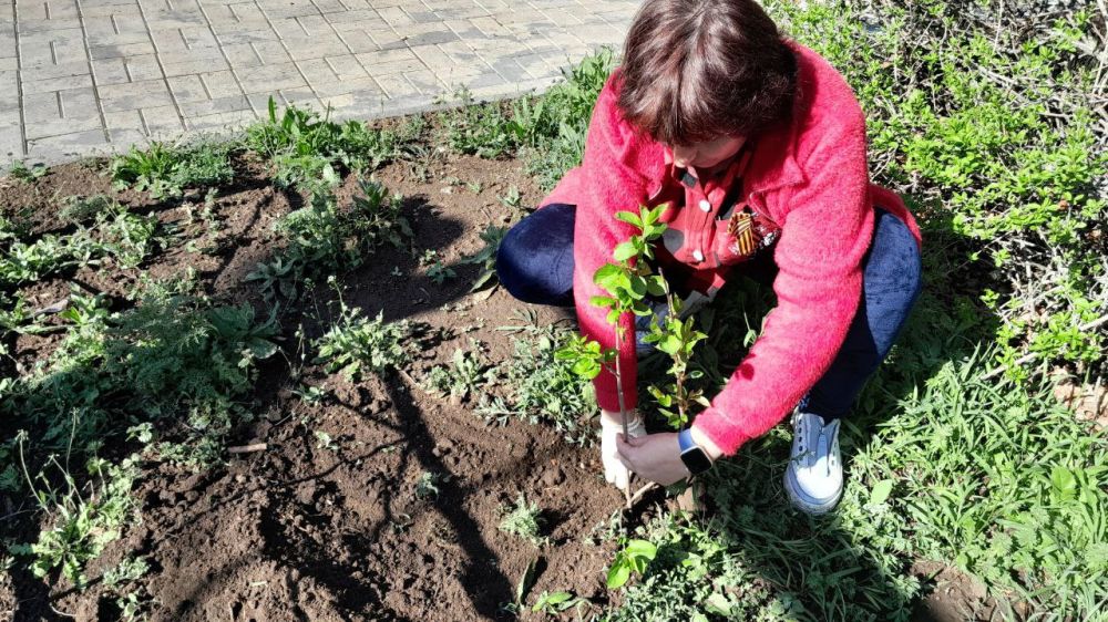 В рамках партийного проекта #ИсторическаяПамять В рамках партийного проекта #ИсторическаяПамять