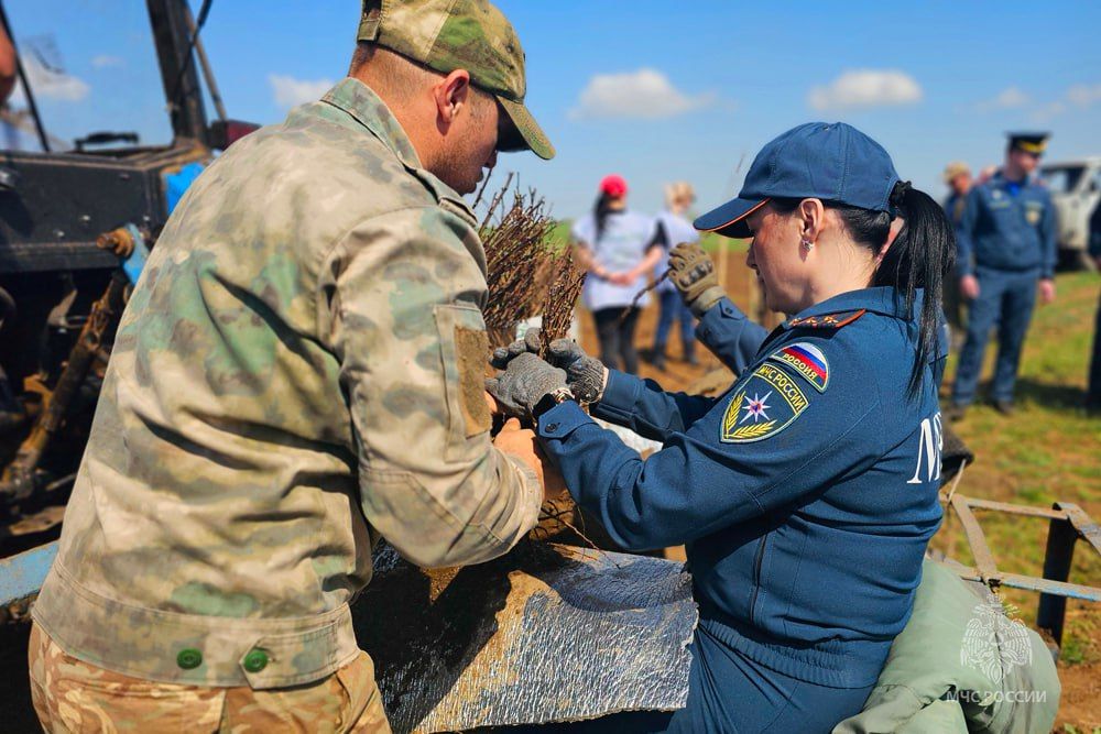 Сад памяти о Великой победе: чтим подвиг предков Сад памяти о Великой победе: чтим подвиг предков