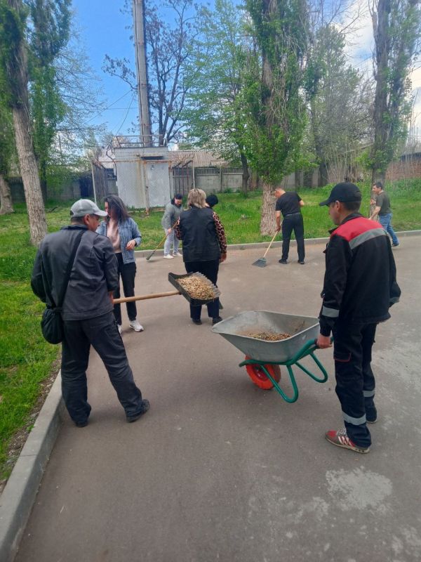 Наталья Великодная: В Тельмановском округ продолжается еженедельная экологическая акция "Чистый четверг" Наталья Великодная: В Тельмановском округ продолжается еженедельная экологическая акция "Чистый четверг"