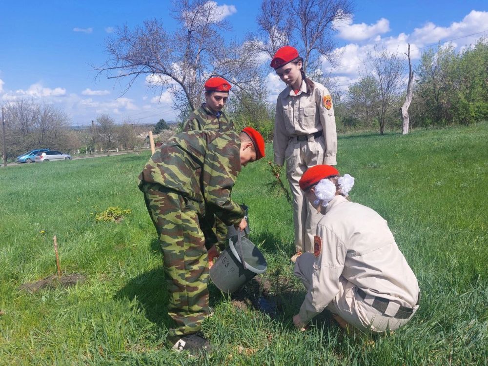 "Сад Памяти" на земле Донбасса! "Сад Памяти" на земле Донбасса!