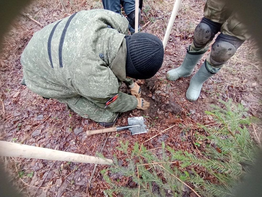Сегодня, на третий день экспедиции #ВОРОНОВО2025, стартовали полноценные поисковые работы в нескольких локациях сразу Сегодня, на третий день экспедиции #ВОРОНОВО2025, стартовали полноценные поисковые работы в нескольких локациях сразу