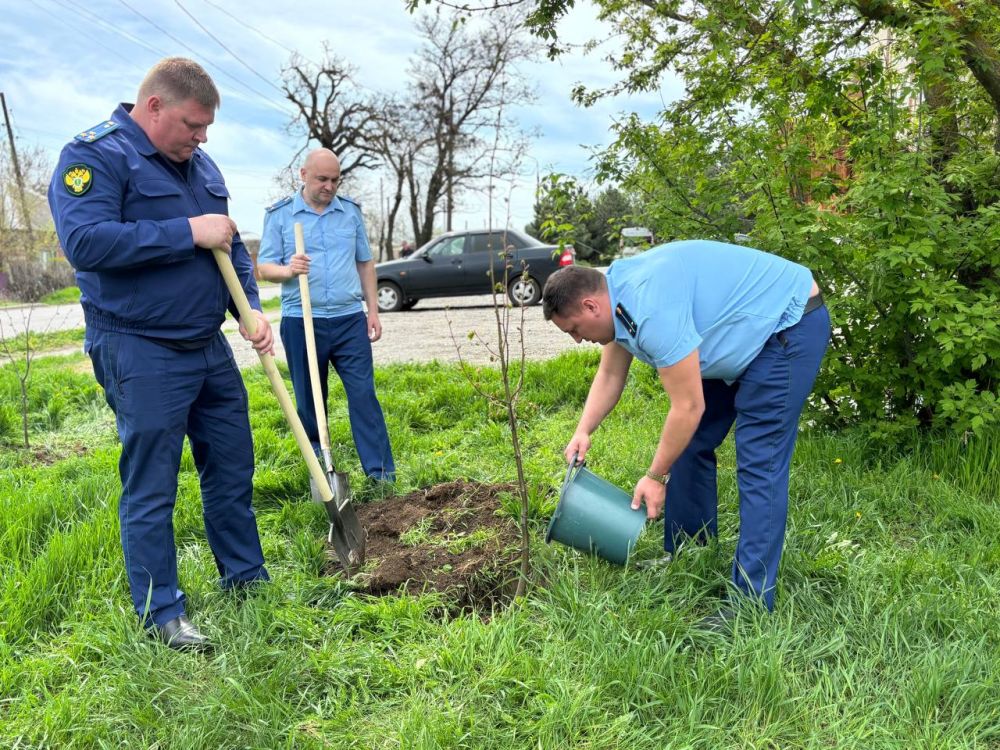 По поручению Главы Донецкой Народной Республики – Дениса Владимировича Пушилина, в Мангушском муниципальном округе продолжается двухмесячник по благоустройству и озеленению «Зелёный Донбасс» По поручению Главы Донецкой Народной Республики – Дениса Владимировича Пушилина, в Мангушском муниципальном округе продолжается двухмесячник по благоустройству и озеленению «Зелёный Донбасс»