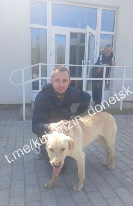Алексей Кулемзин: Сотрудники предприятия «Животные в городе» ежедневно дарят надежду бродячим собакам, которые борются за выживание на улицах Алексей Кулемзин: Сотрудники предприятия «Животные в городе» ежедневно дарят надежду бродячим собакам, которые борются за выживание на улицах