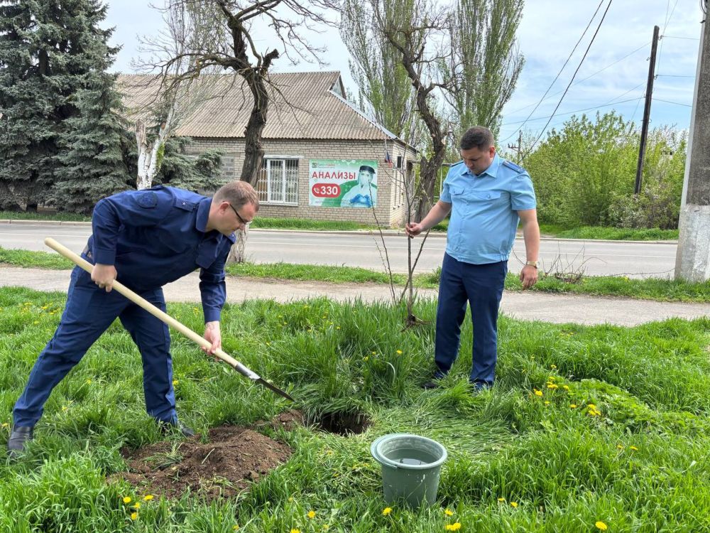 По поручению Главы Донецкой Народной Республики – Дениса Владимировича Пушилина, в Мангушском муниципальном округе продолжается двухмесячник по благоустройству и озеленению «Зелёный Донбасс» По поручению Главы Донецкой Народной Республики – Дениса Владимировича Пушилина, в Мангушском муниципальном округе продолжается двухмесячник по благоустройству и озеленению «Зелёный Донбасс»