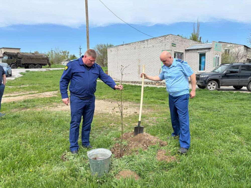 По поручению Главы Донецкой Народной Республики – Дениса Владимировича Пушилина, в Мангушском муниципальном округе продолжается двухмесячник по благоустройству и озеленению «Зелёный Донбасс» По поручению Главы Донецкой Народной Республики – Дениса Владимировича Пушилина, в Мангушском муниципальном округе продолжается двухмесячник по благоустройству и озеленению «Зелёный Донбасс»