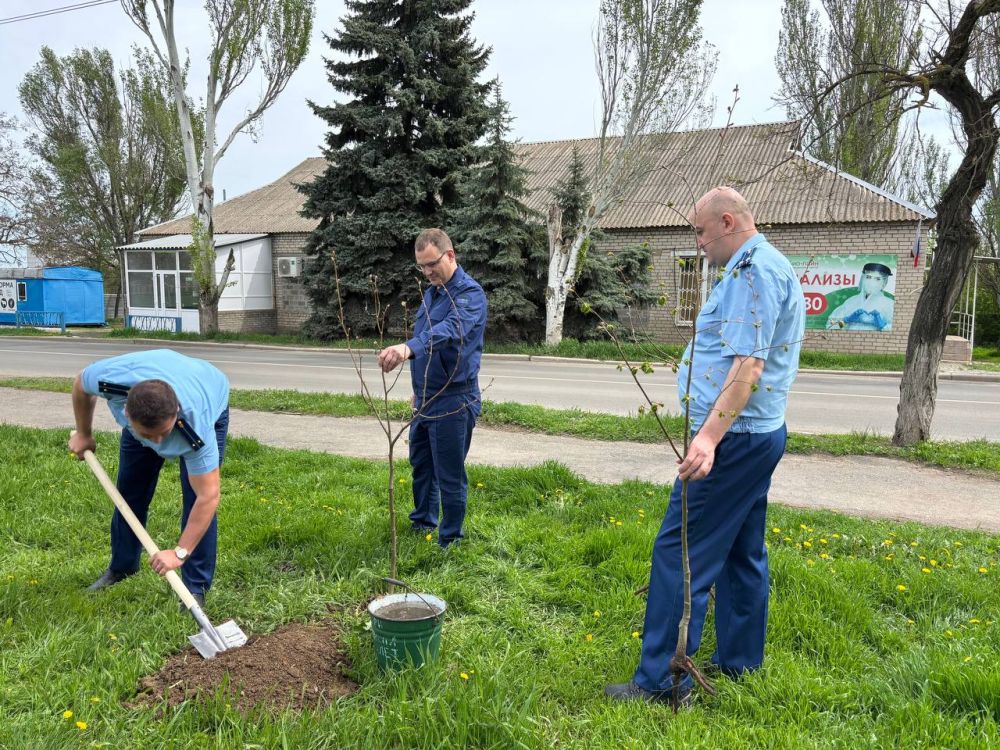 По поручению Главы Донецкой Народной Республики – Дениса Владимировича Пушилина, в Мангушском муниципальном округе продолжается двухмесячник по благоустройству и озеленению «Зелёный Донбасс» По поручению Главы Донецкой Народной Республики – Дениса Владимировича Пушилина, в Мангушском муниципальном округе продолжается двухмесячник по благоустройству и озеленению «Зелёный Донбасс»